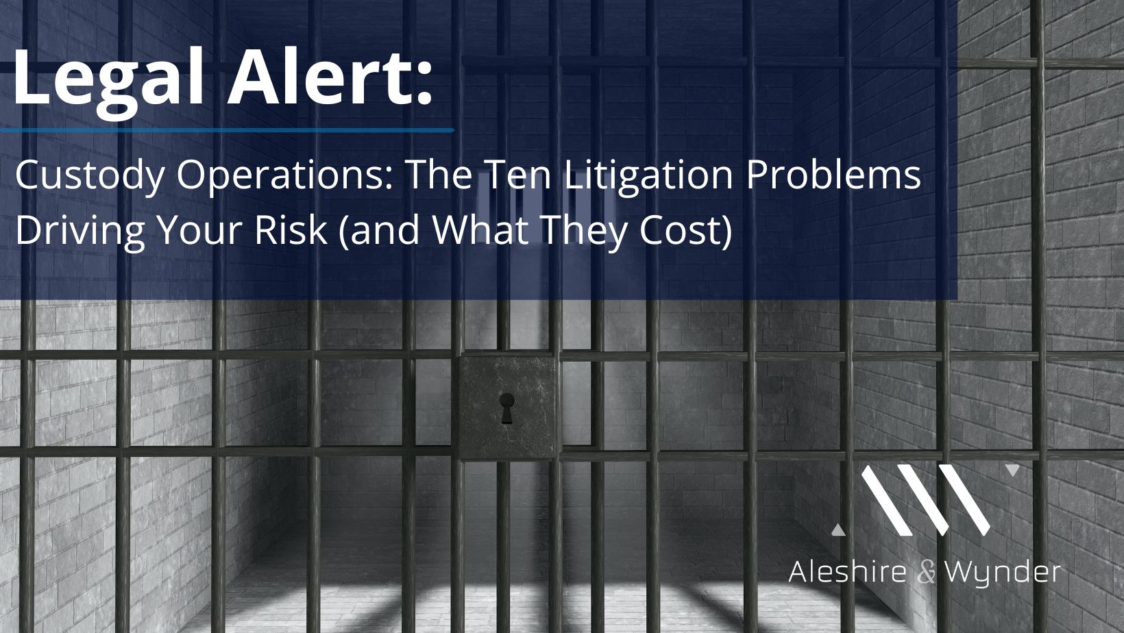 Custody Operations: Ten Litigation Problems Driving The Department’s Risk